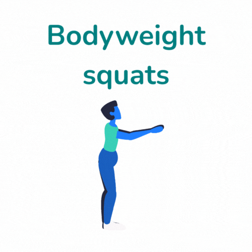 bodyweight squats